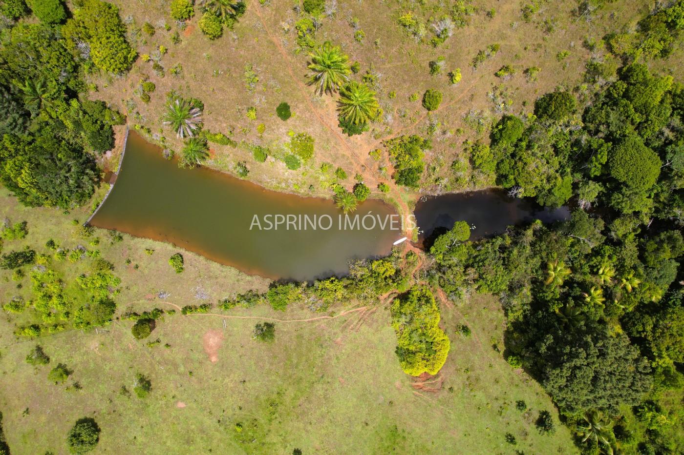 Fazenda, 32 hectares - Foto 12