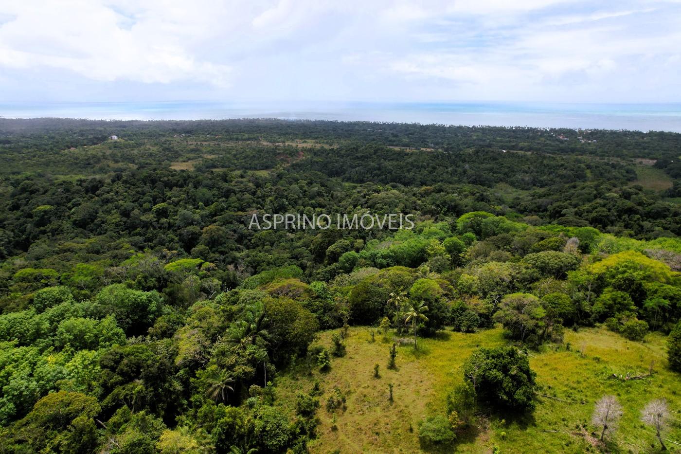 Fazenda, 32 hectares - Foto 6