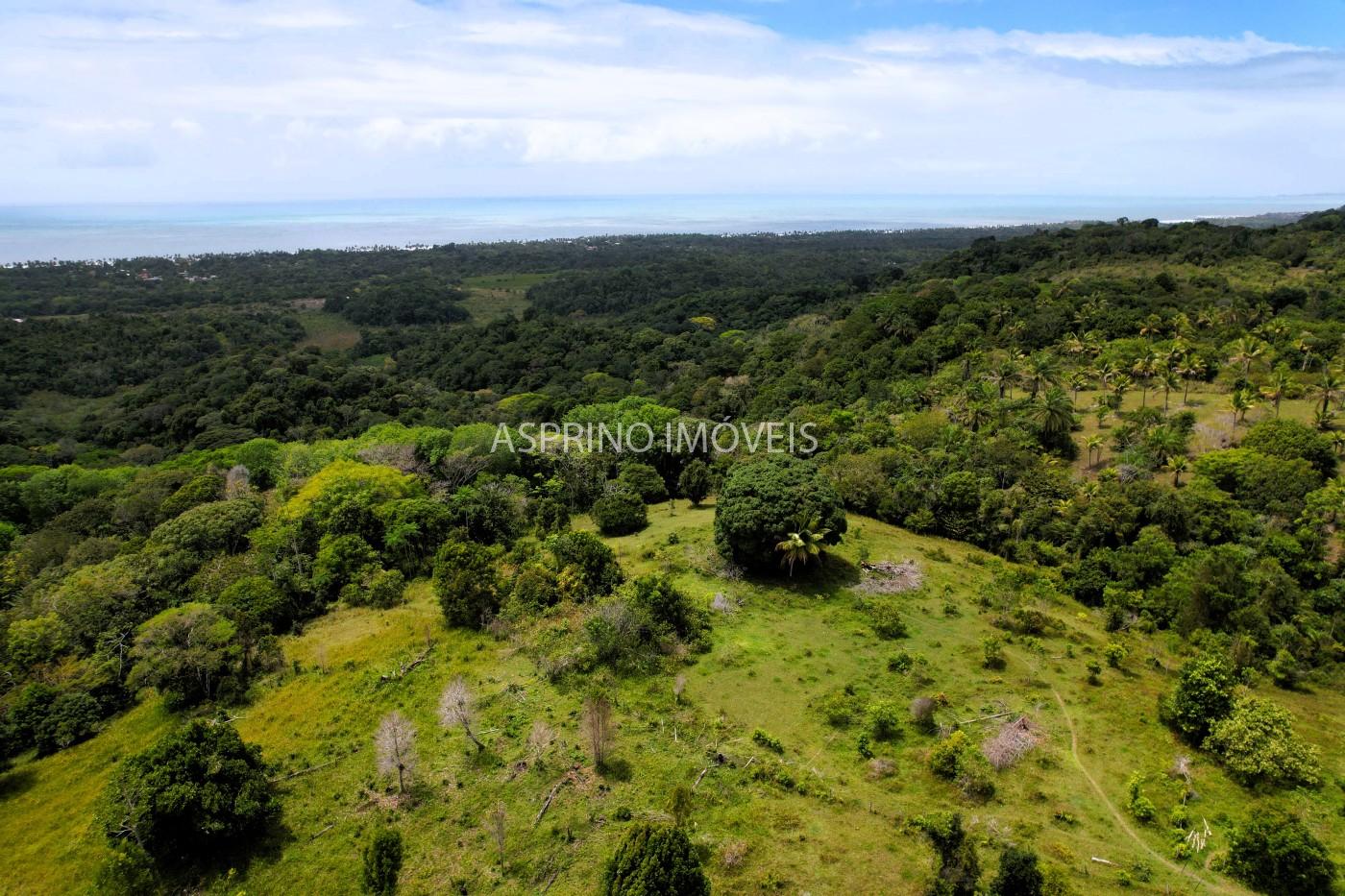 Fazenda, 32 hectares - Foto 7