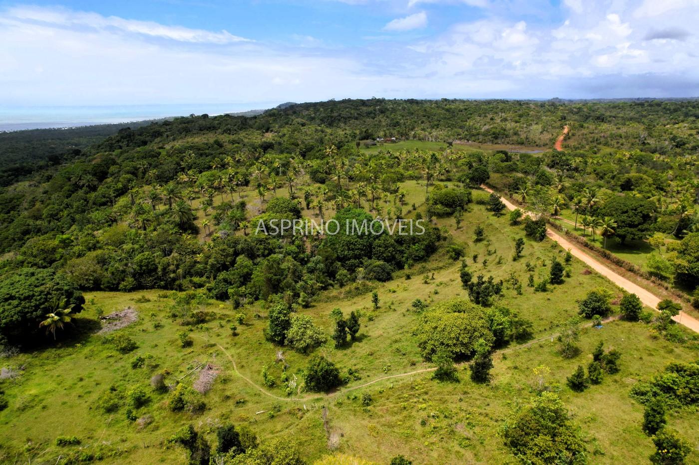 Fazenda, 32 hectares - Foto 10