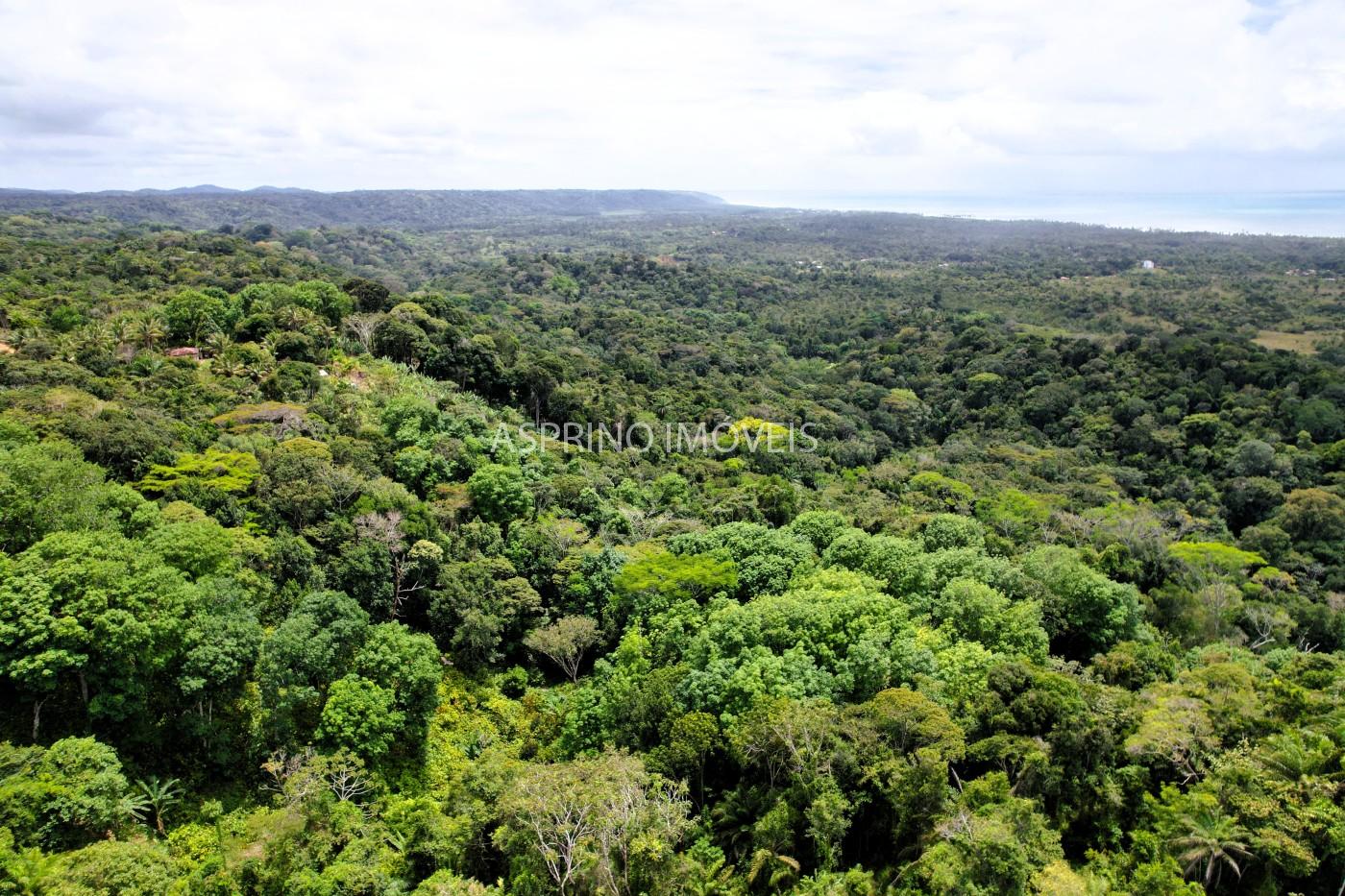 Fazenda, 32 hectares - Foto 5