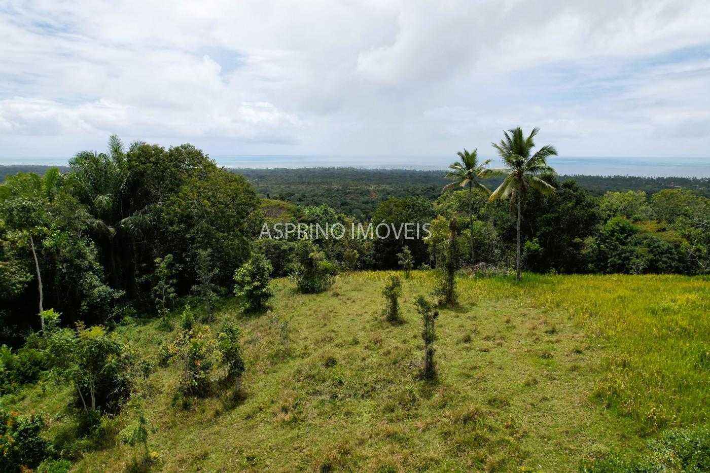 Fazenda, 32 hectares - Foto 3