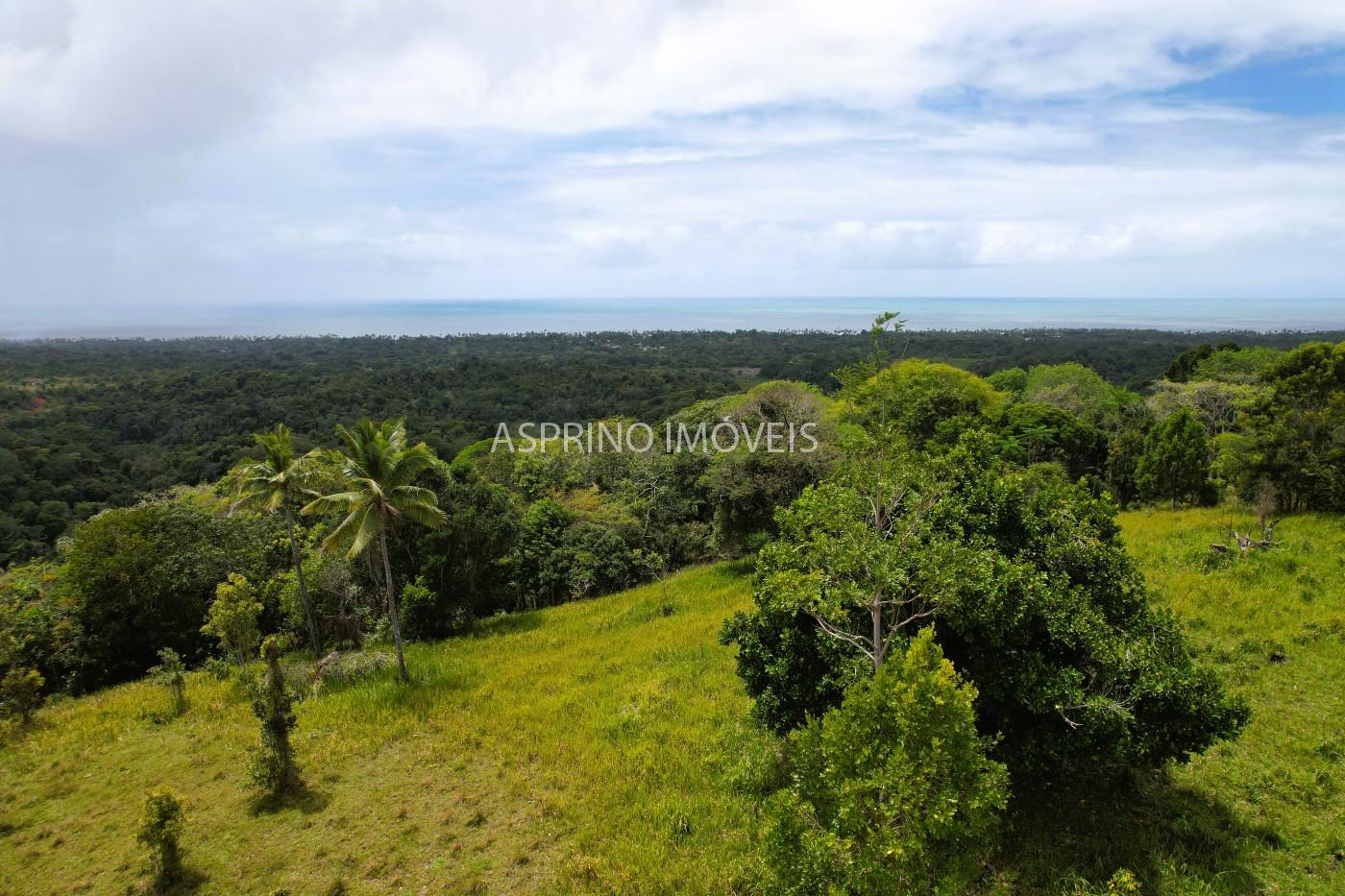 Fazenda, 32 hectares - Foto 9