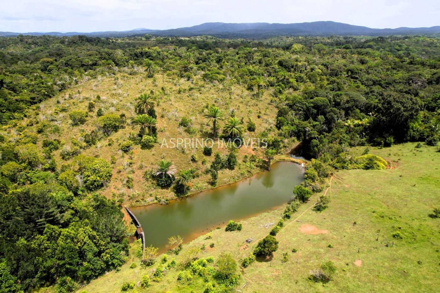 Fazenda, 32 hectares - Foto 13
