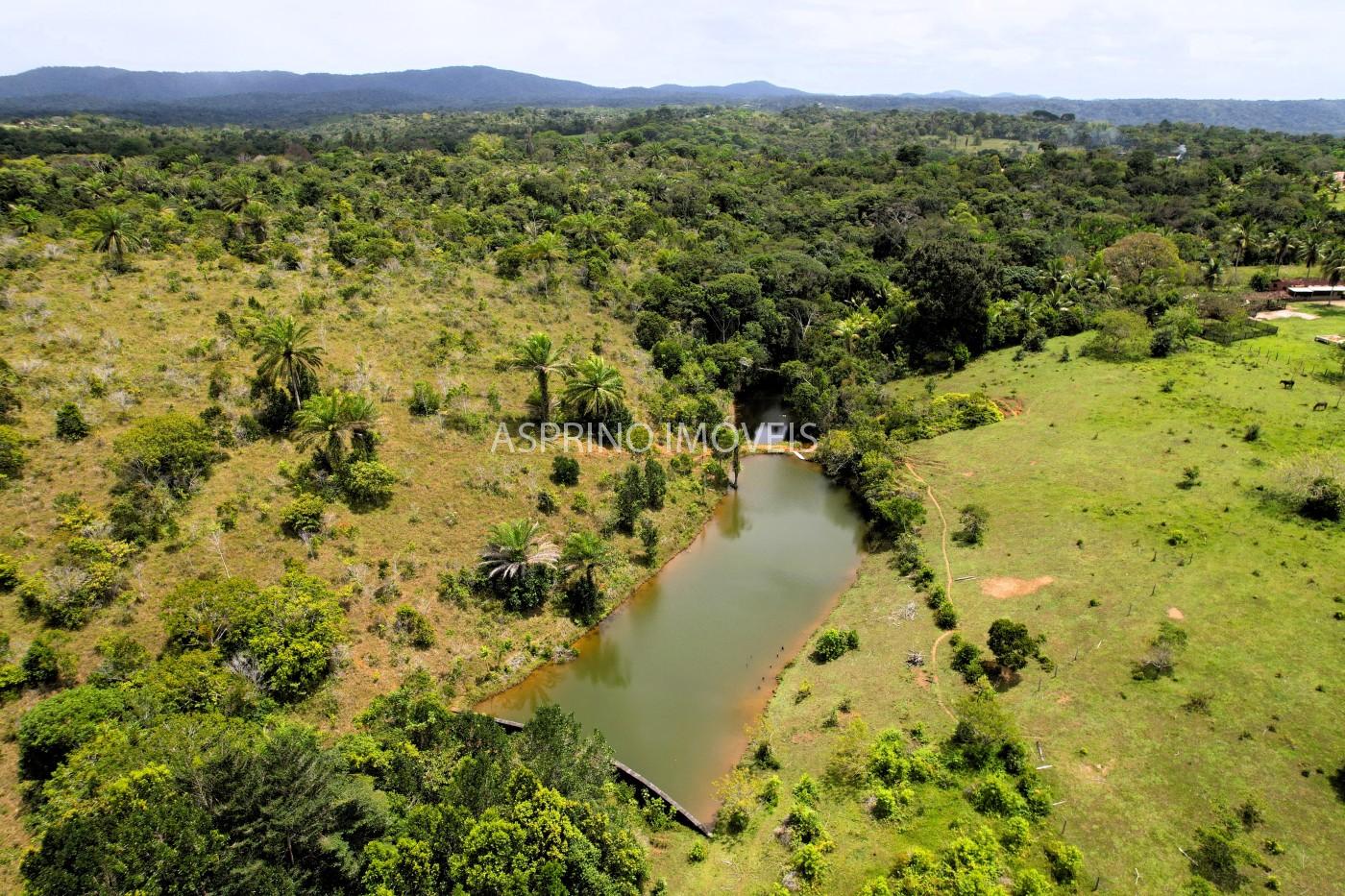 Fazenda, 32 hectares - Foto 14