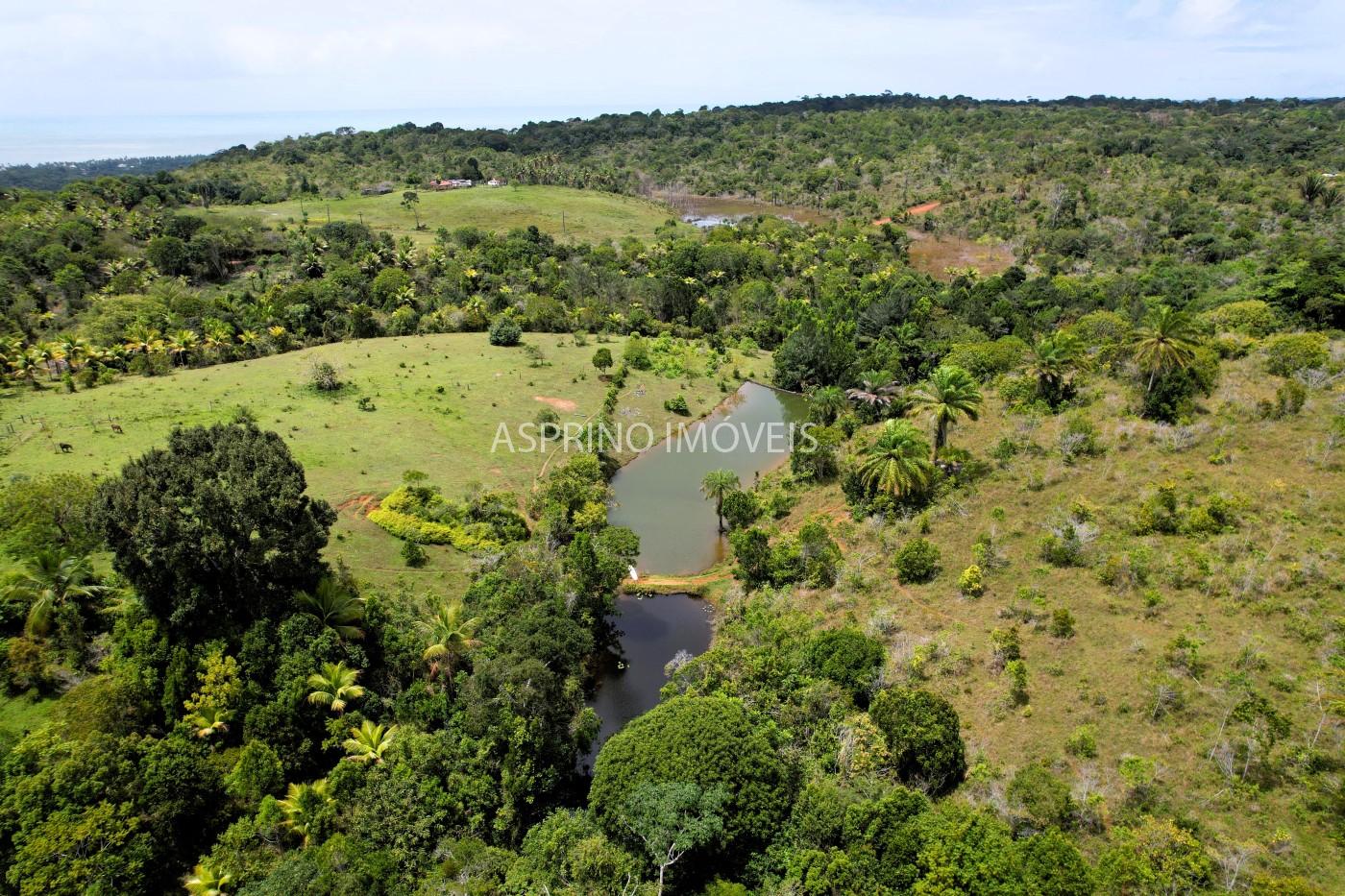 Fazenda, 32 hectares - Foto 16
