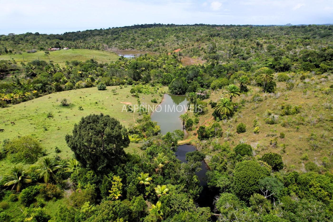 Fazenda, 32 hectares - Foto 17