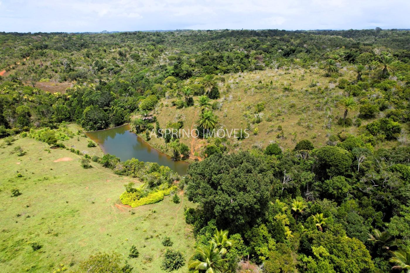Fazenda, 32 hectares - Foto 15