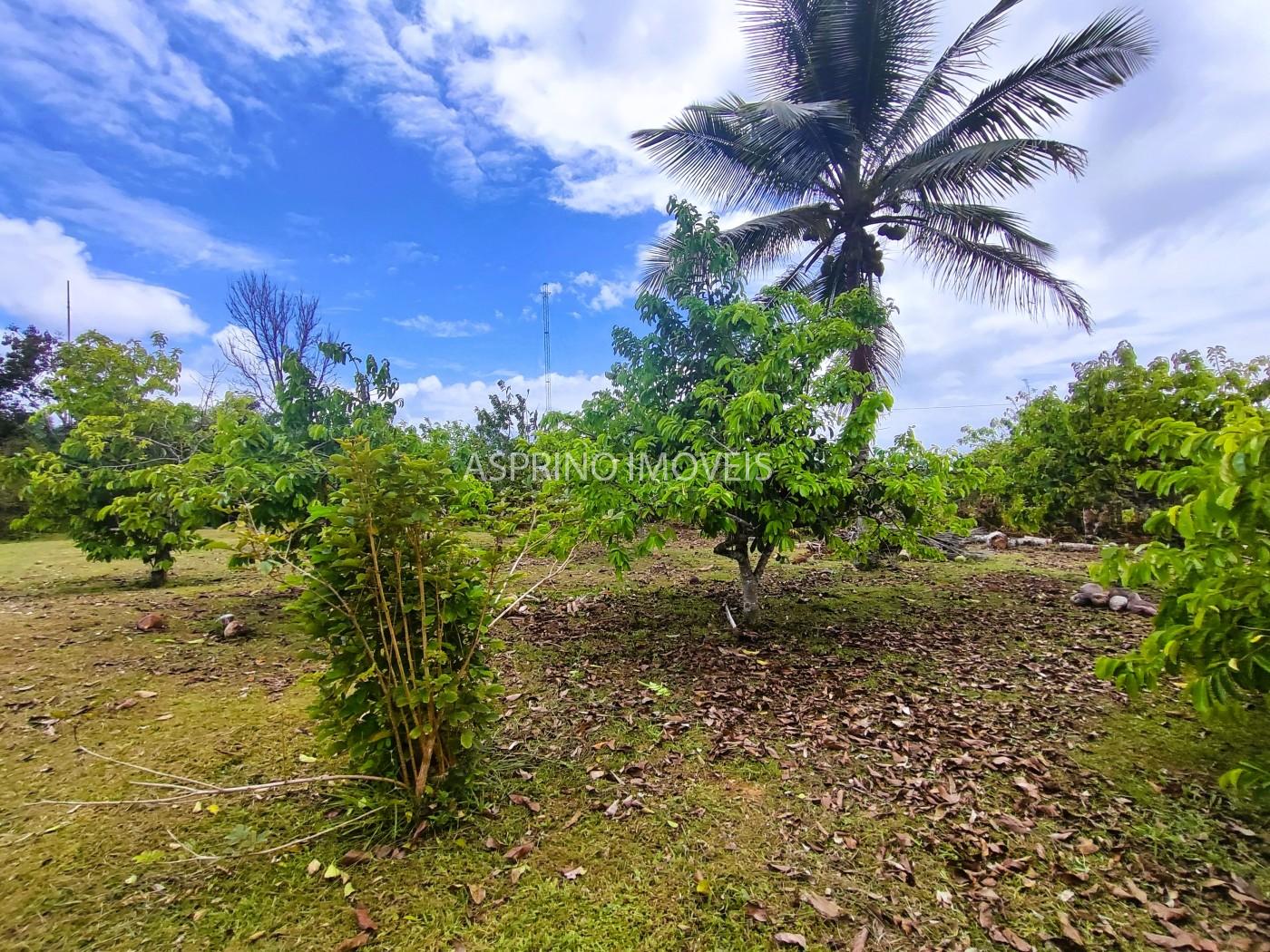 Fazenda, 32 hectares - Foto 24
