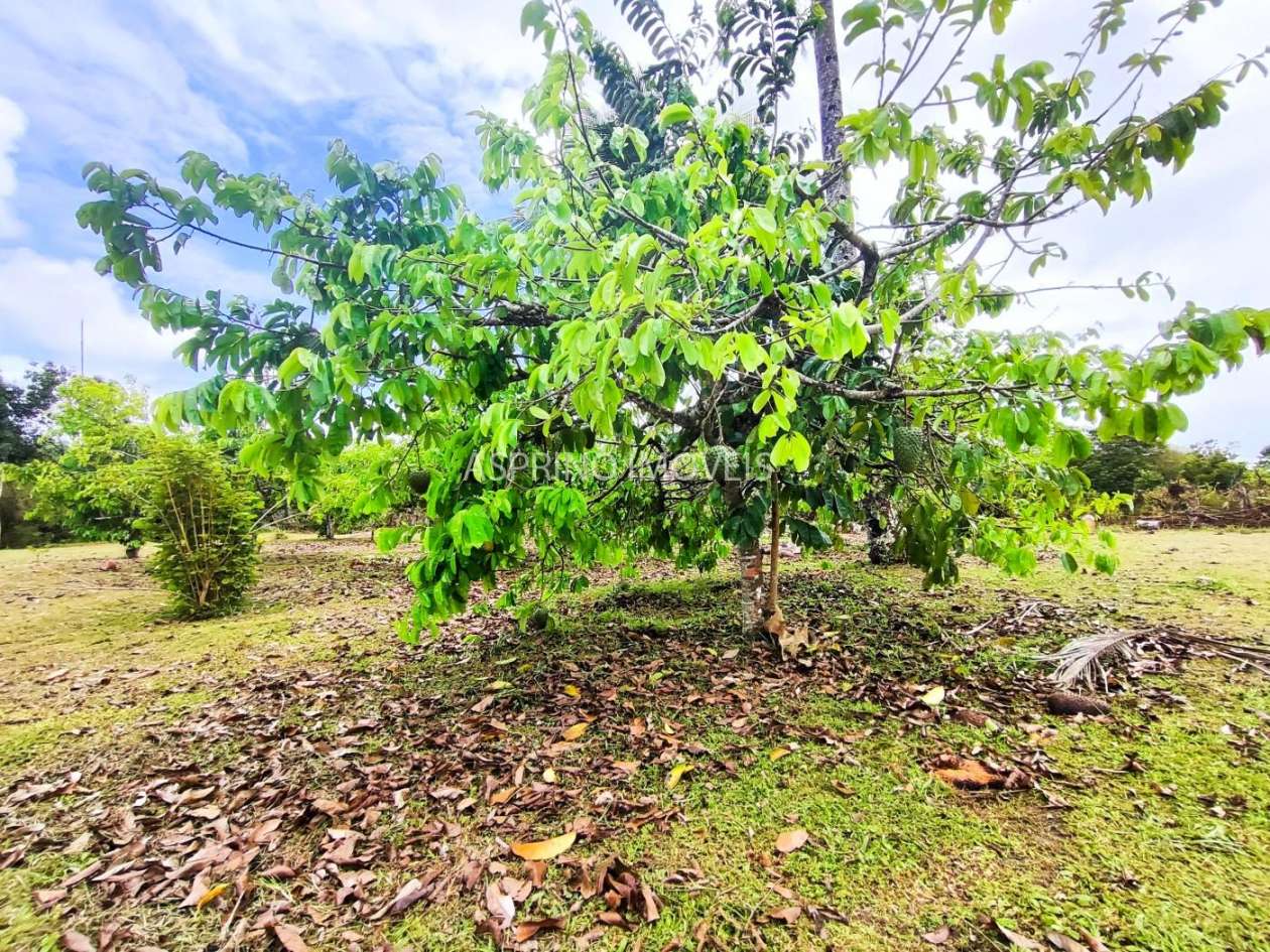 Fazenda, 32 hectares - Foto 23