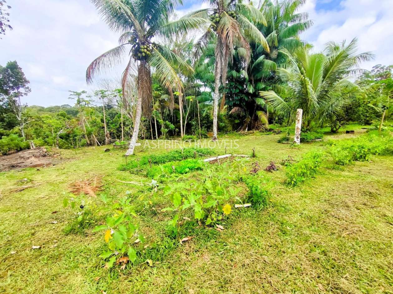 Fazenda, 32 hectares - Foto 26