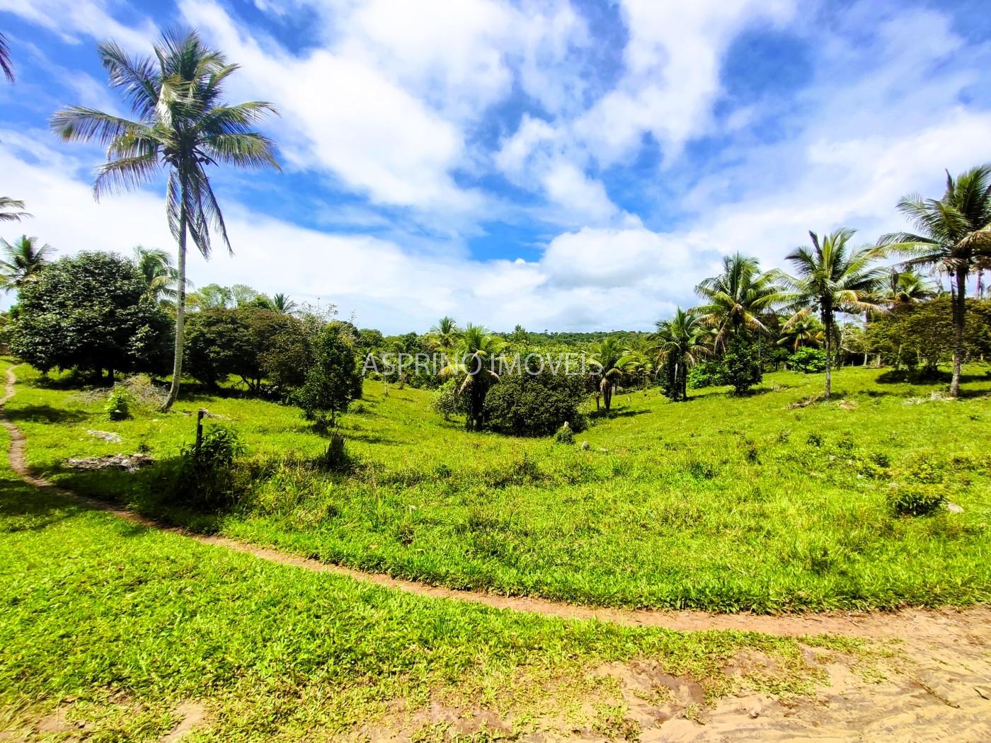 Fazenda, 32 hectares - Foto 28