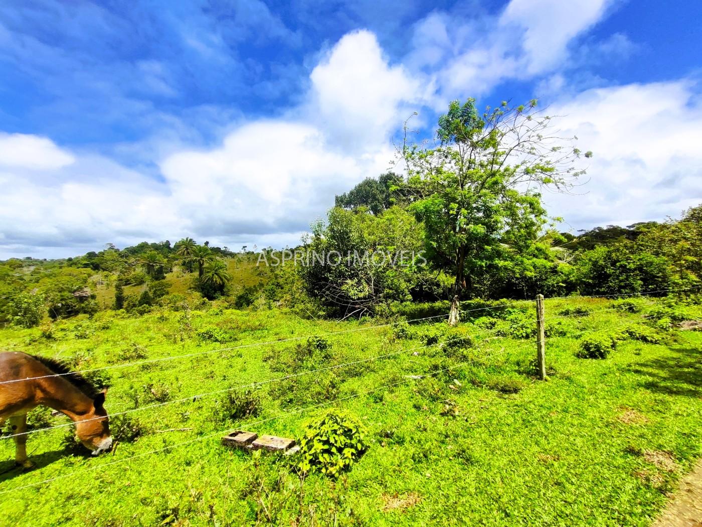 Fazenda, 32 hectares - Foto 31