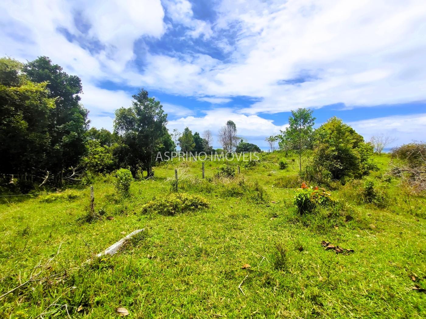 Fazenda, 32 hectares - Foto 27