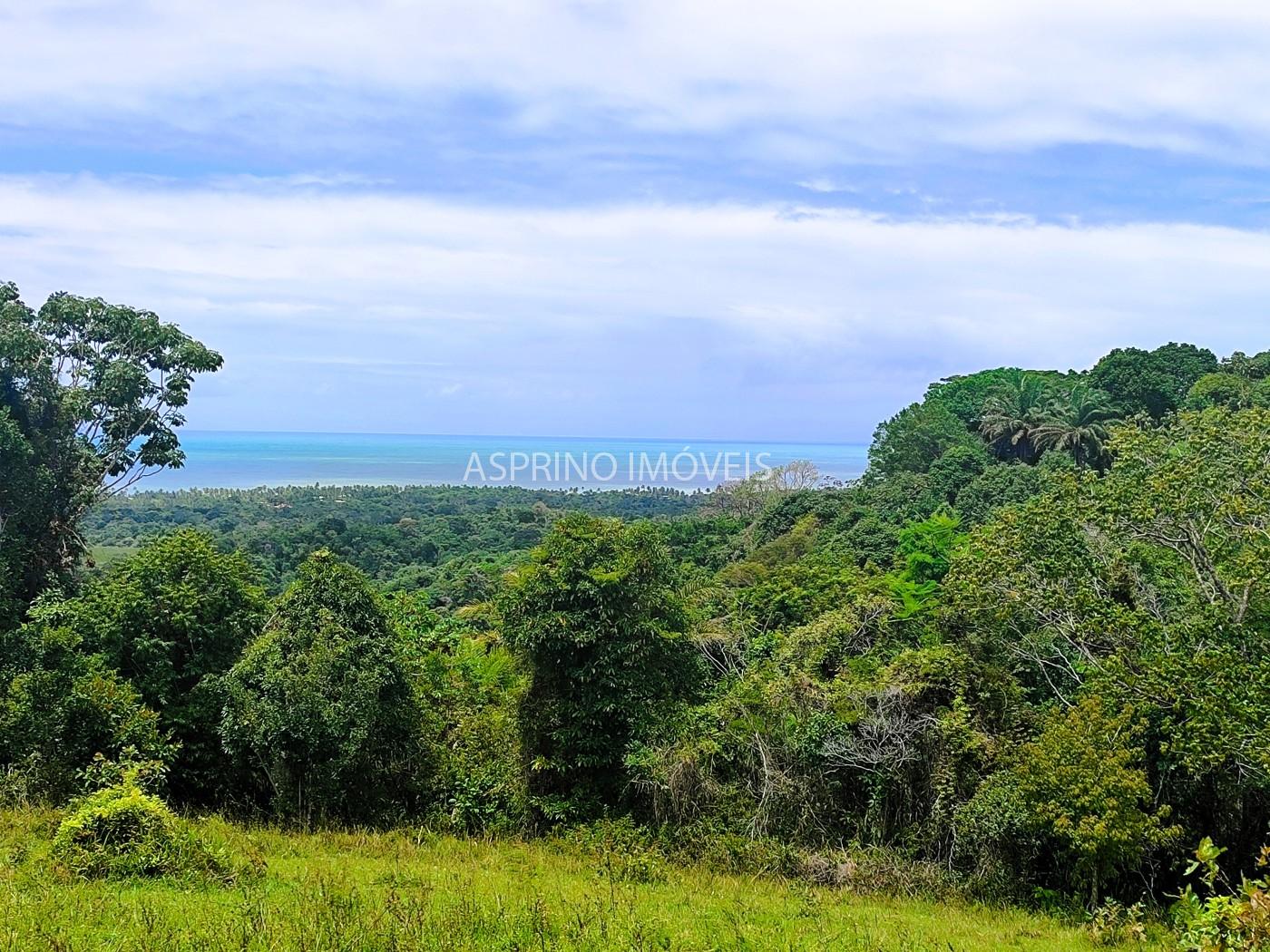 Fazenda, 32 hectares - Foto 1