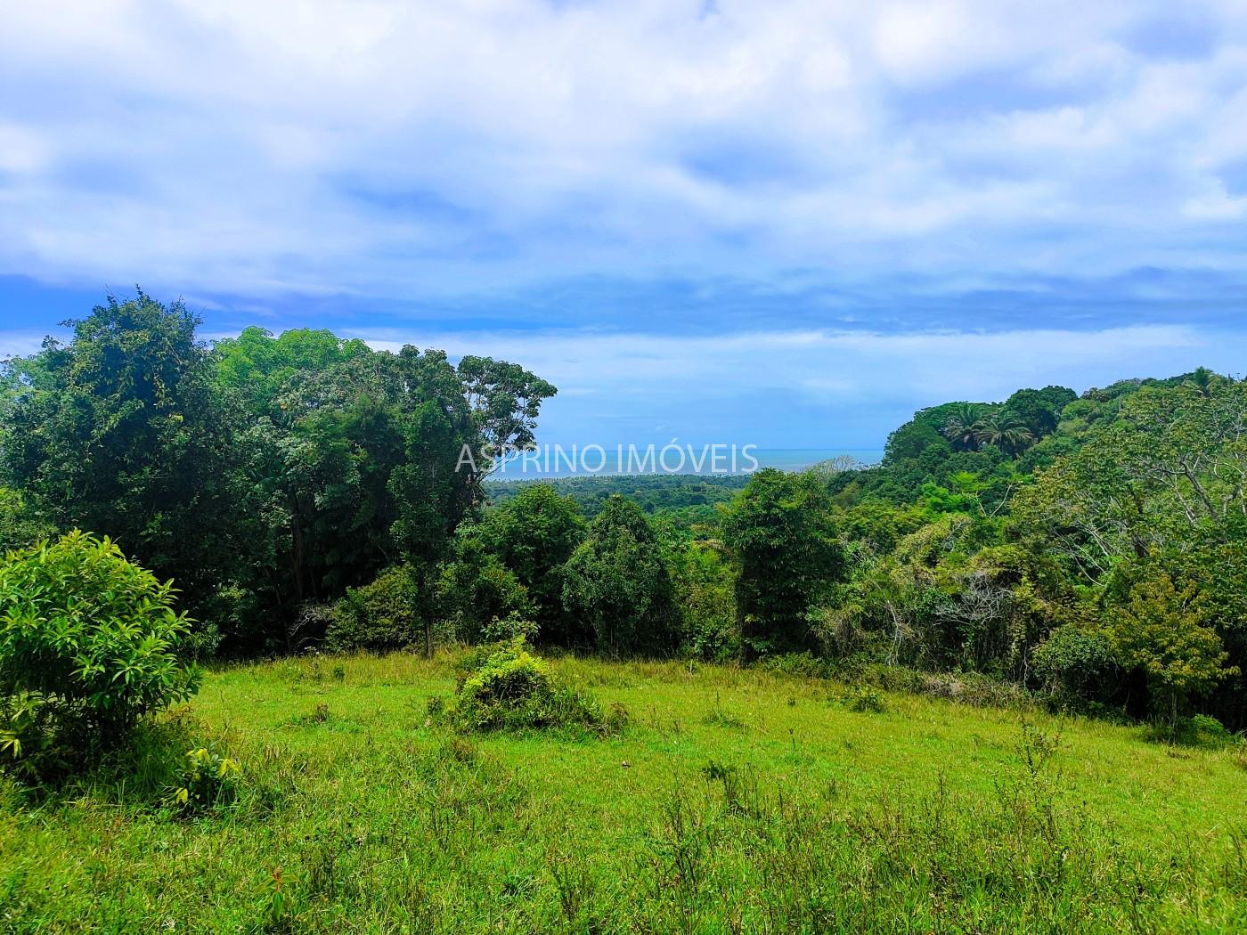 Fazenda, 32 hectares - Foto 2