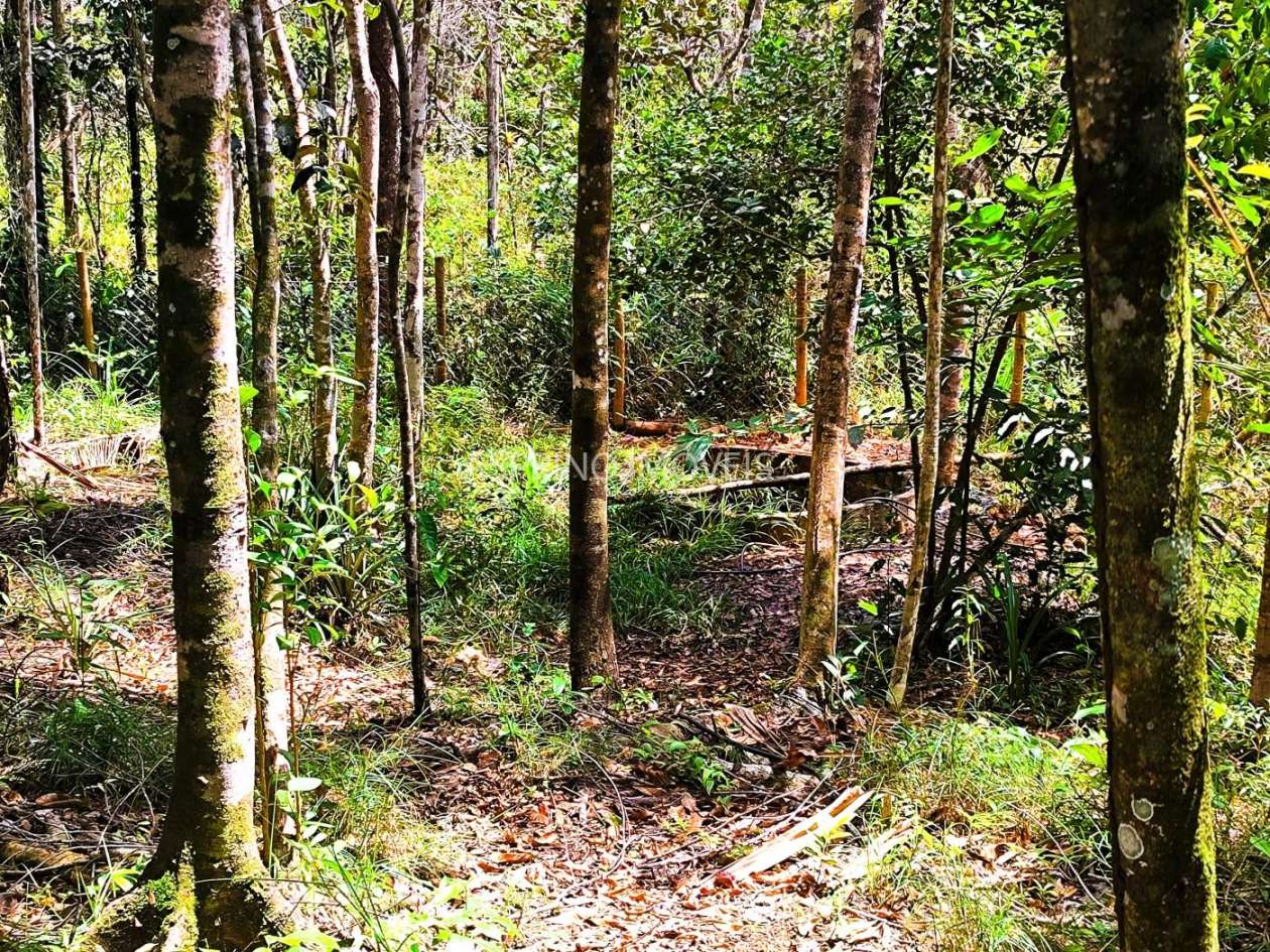 Casa, 2 quartos, 2753 m² - Foto 19