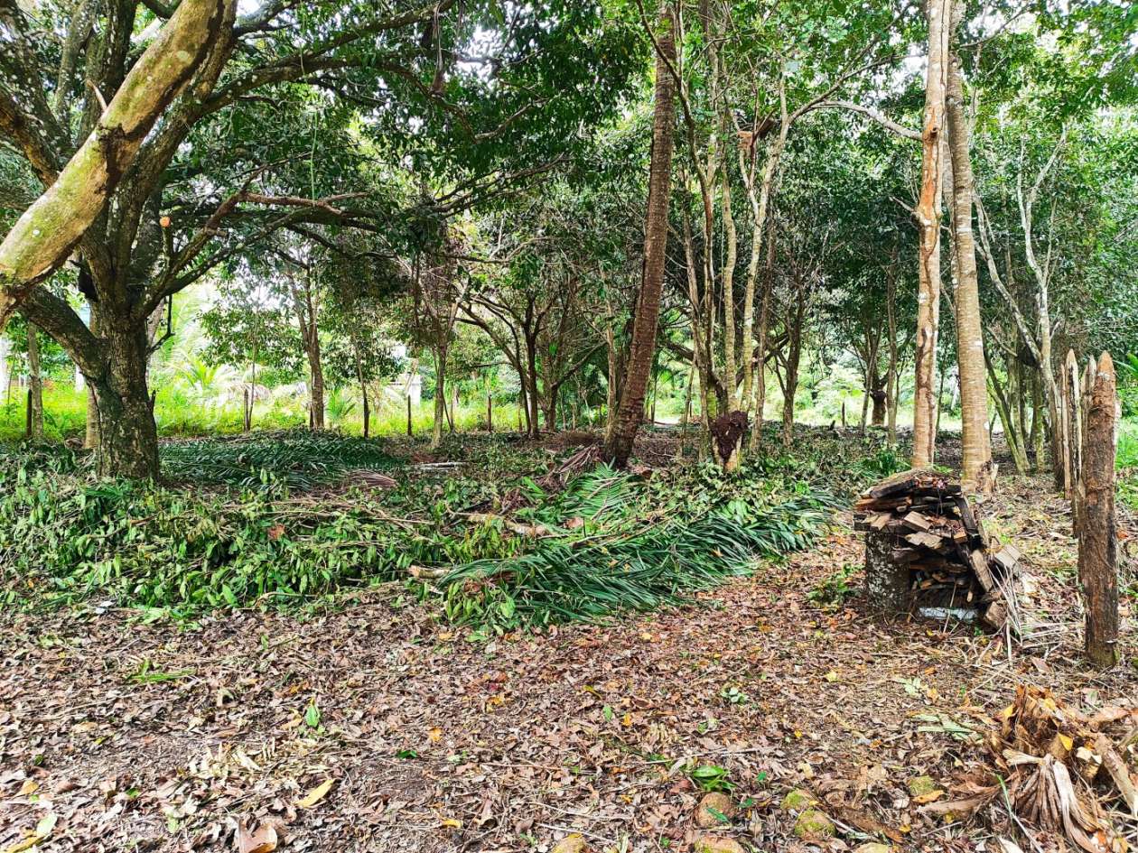 Terreno, 800 m² - Foto 12