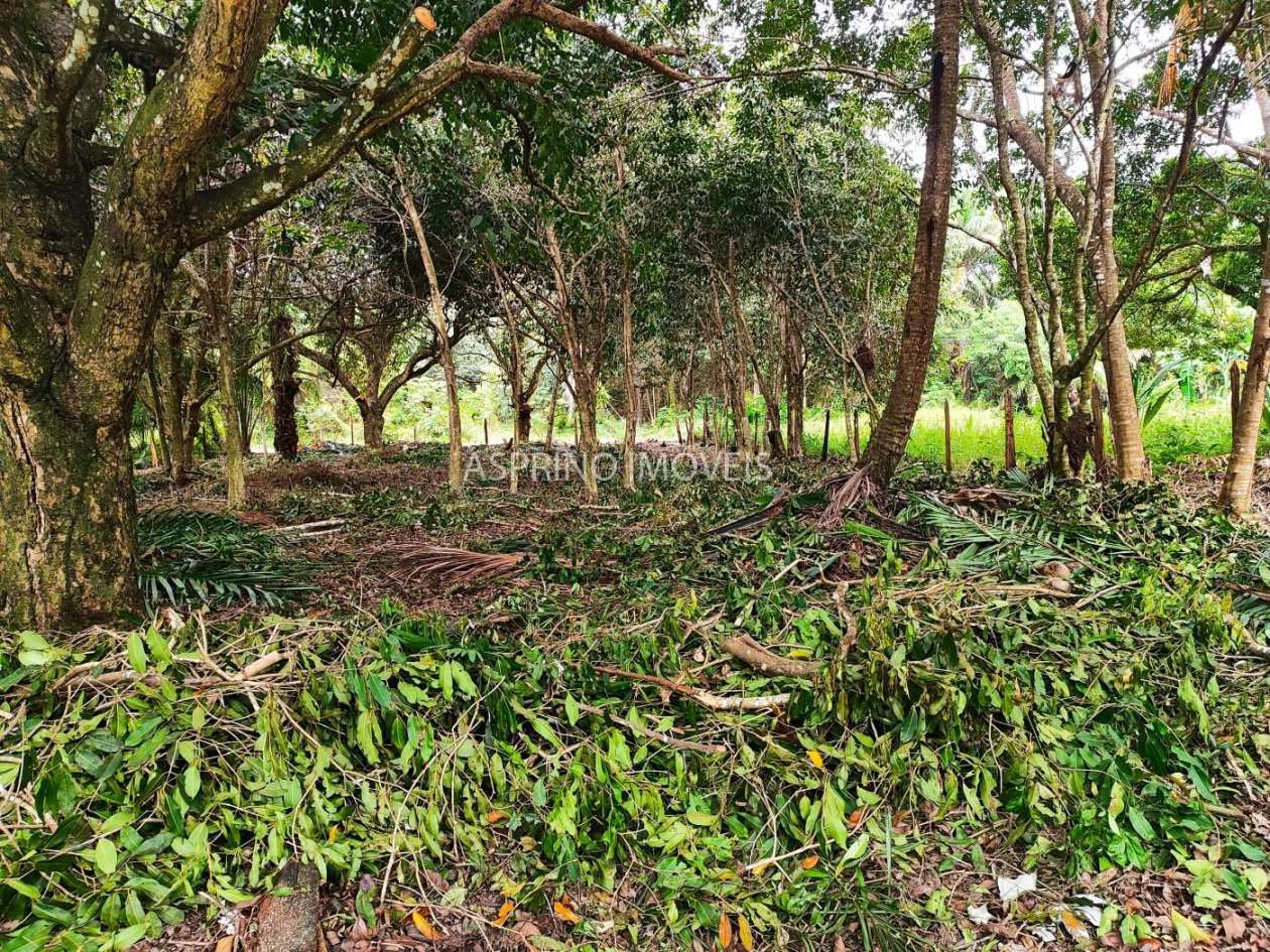 Terreno, 800 m² - Foto 13