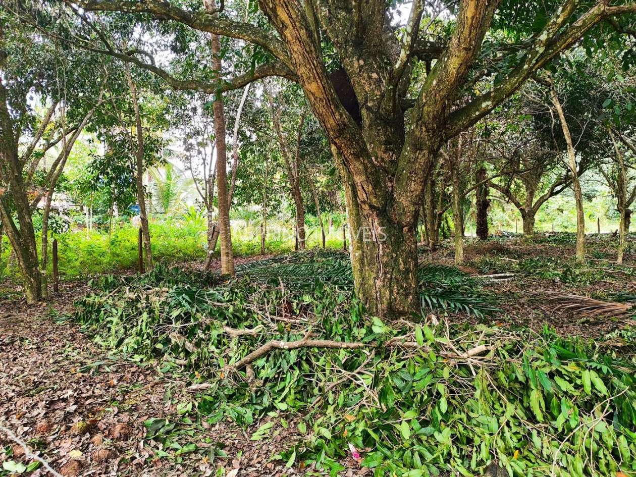 Terreno, 800 m² - Foto 14