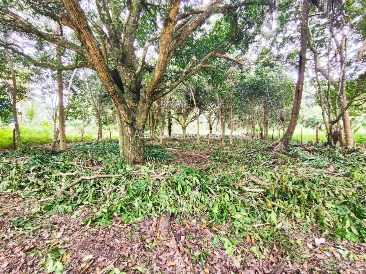 Terreno, 800 m² - Foto 15