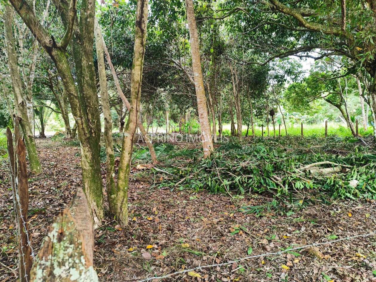 Terreno, 800 m² - Foto 16