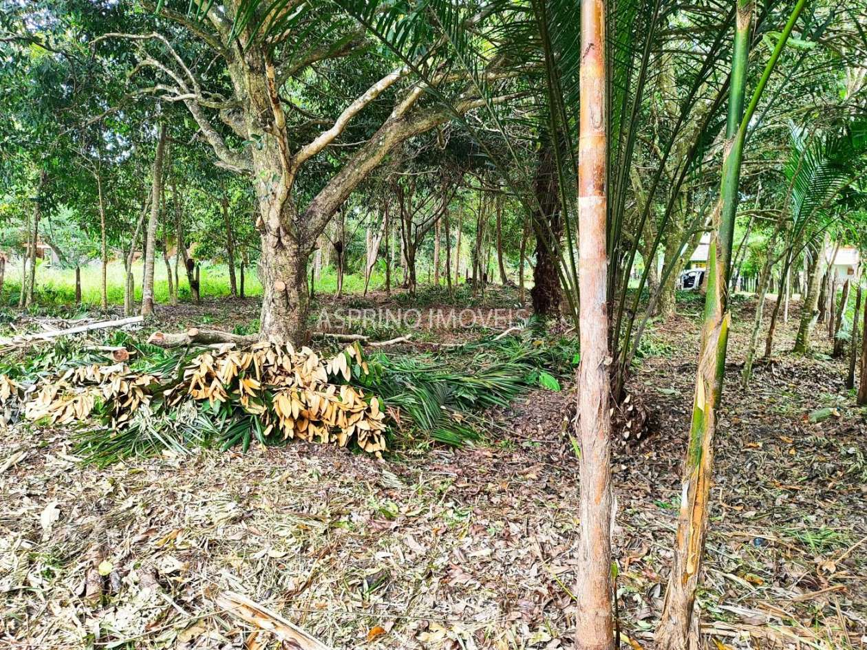 Terreno, 800 m² - Foto 19