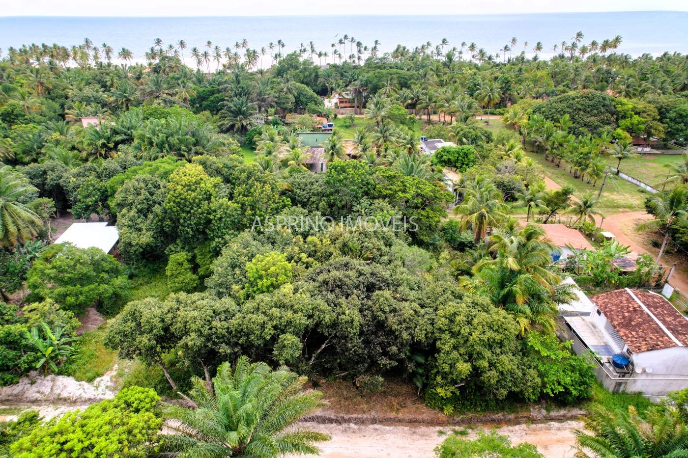 Terreno, 800 m² - Foto 2