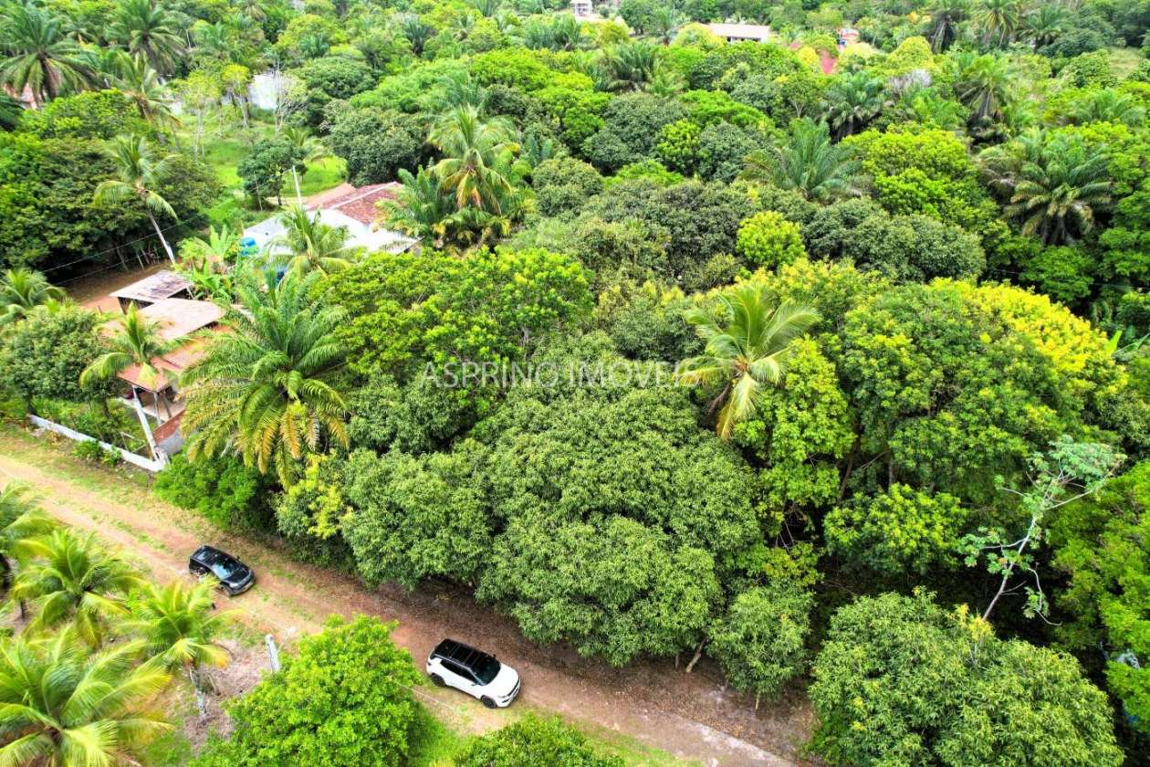 Terreno, 800 m² - Foto 4