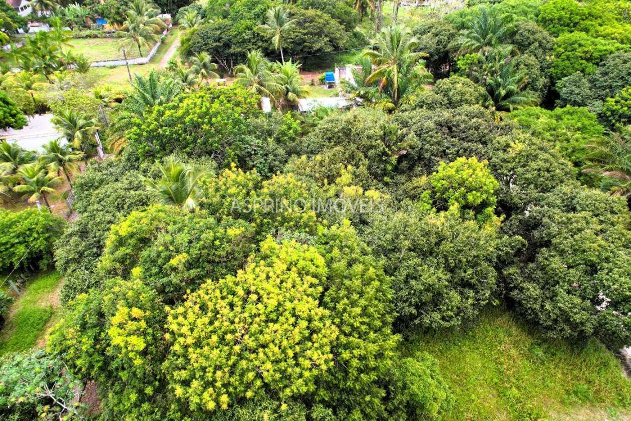 Terreno, 800 m² - Foto 5