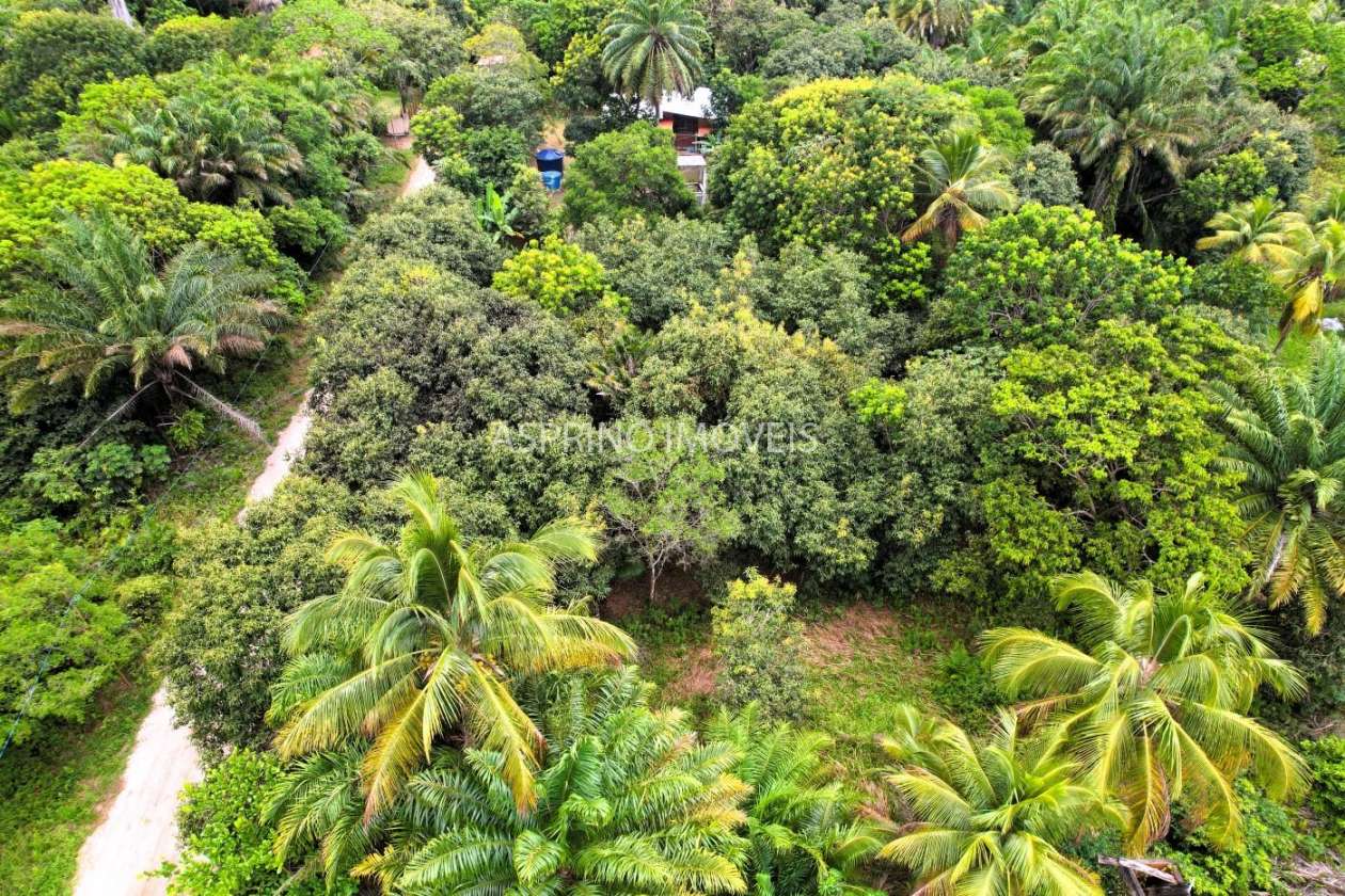 Terreno, 800 m² - Foto 8