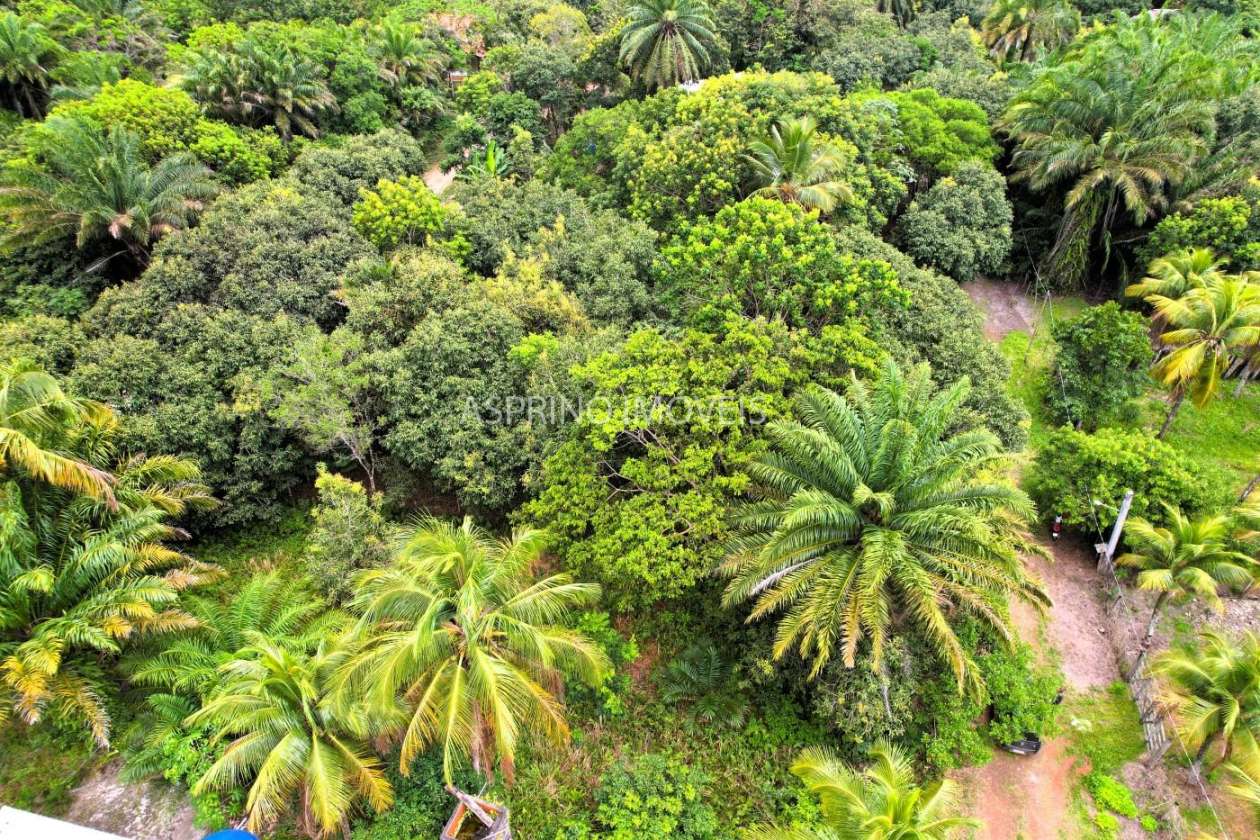 Terreno, 800 m² - Foto 9