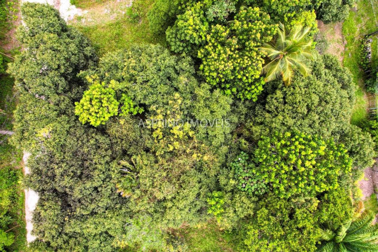 Terreno, 800 m² - Foto 10