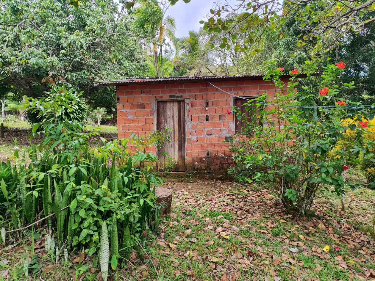 Sítio, 1 quarto, 10 hectares - Foto 7