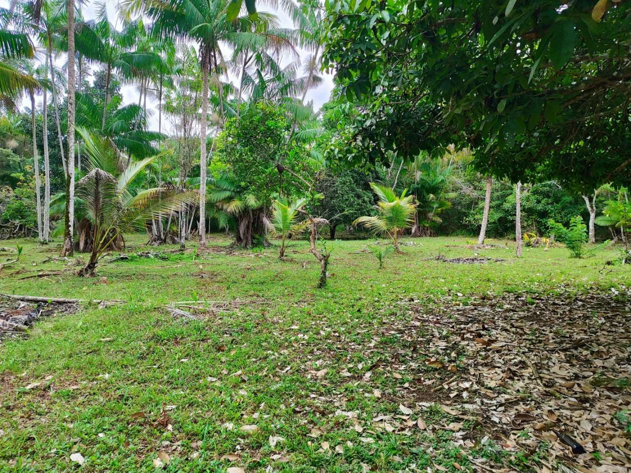 Sítio, 1 quarto, 10 hectares - Foto 2