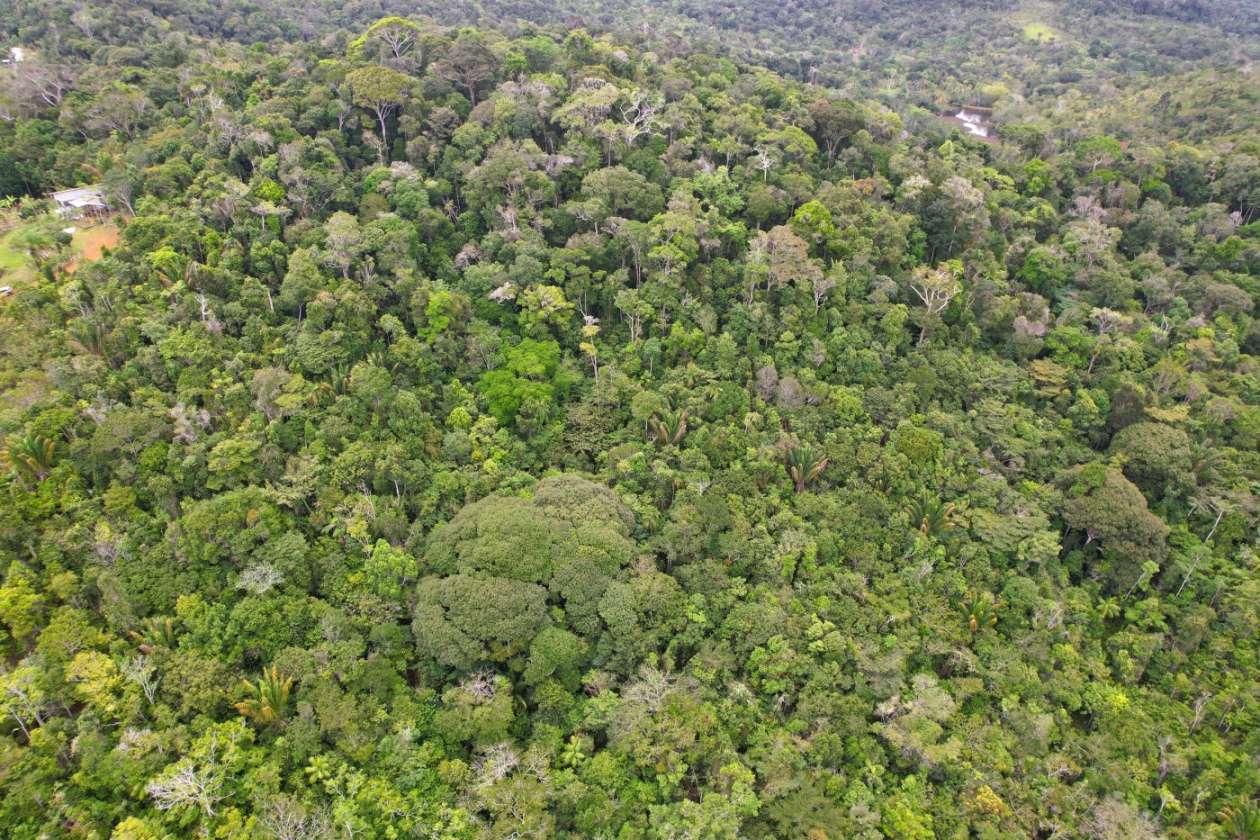 Sítio, 1 quarto, 10 hectares - Foto 16