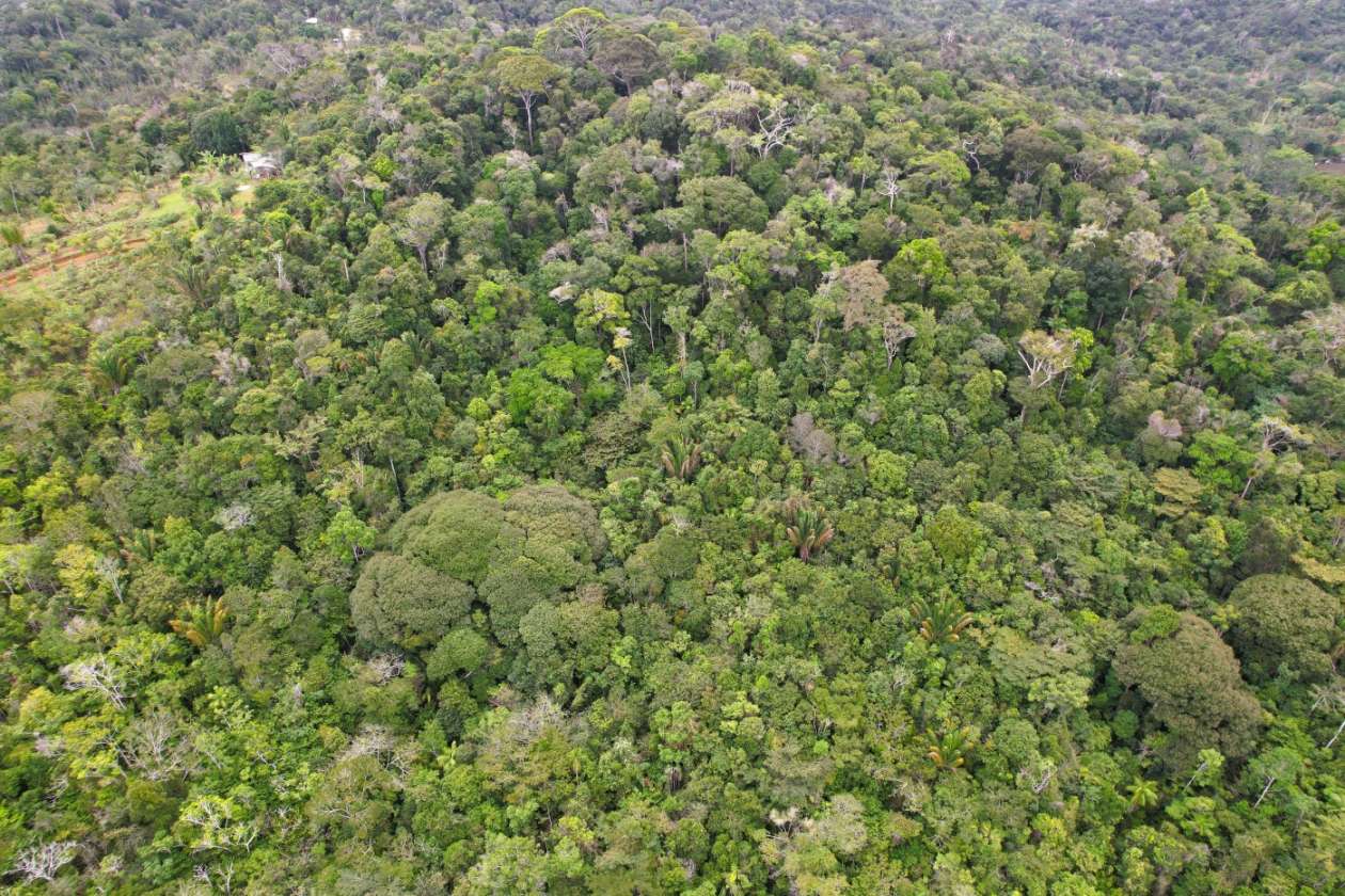 Sítio, 1 quarto, 10 hectares - Foto 17