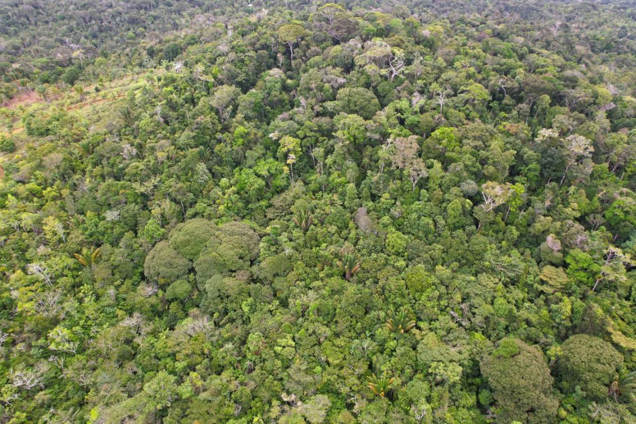 Sítio, 1 quarto, 10 hectares - Foto 18