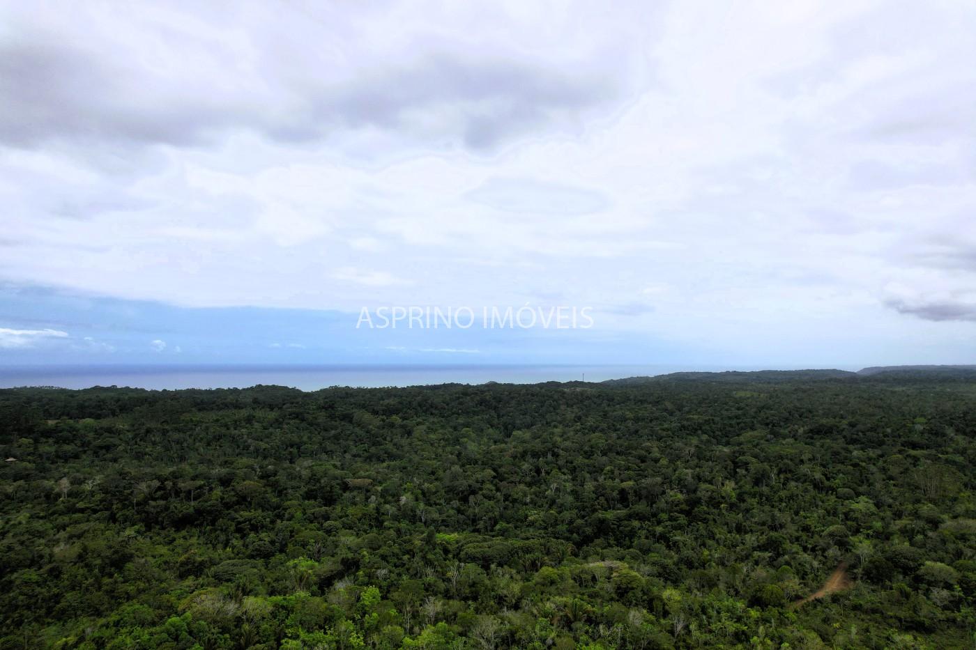 Sítio, 1 quarto, 10 hectares - Foto 22