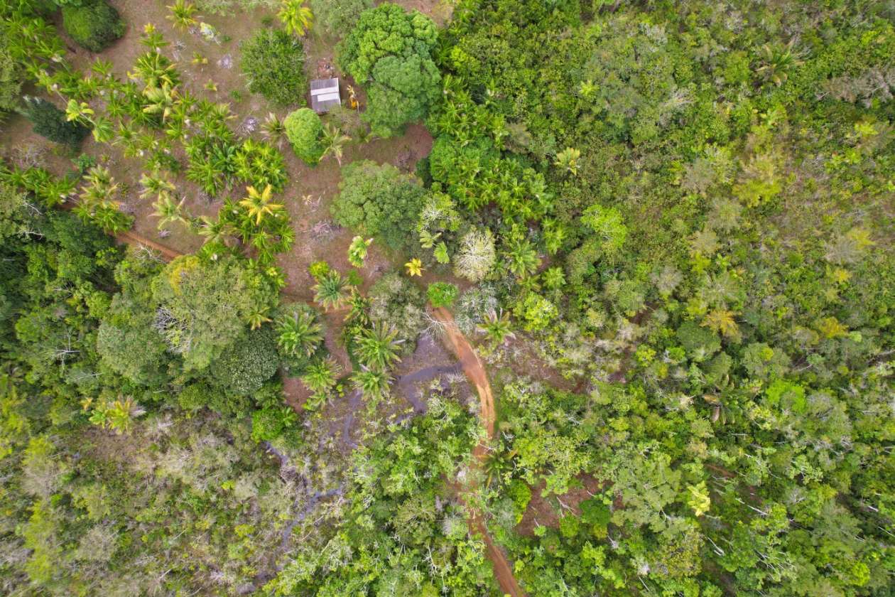 Sítio, 1 quarto, 10 hectares - Foto 9