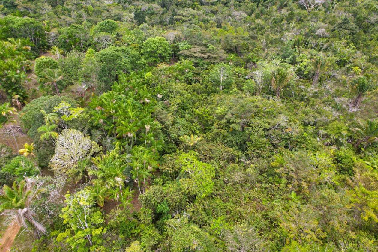 Sítio, 1 quarto, 10 hectares - Foto 13