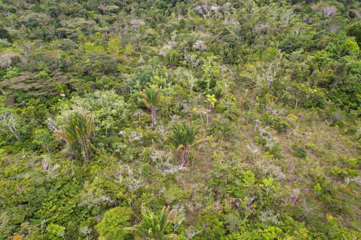 Sítio, 1 quarto, 10 hectares - Foto 12