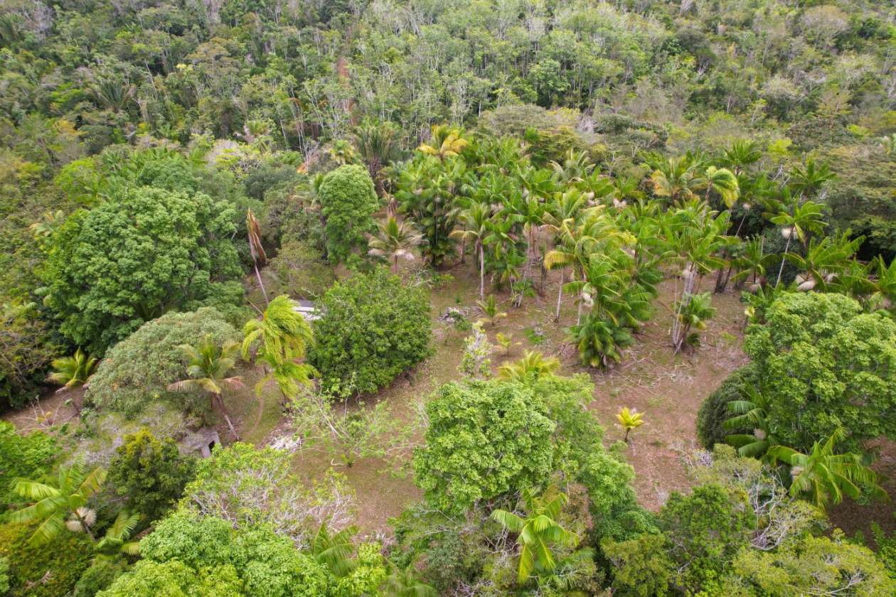 Sítio, 1 quarto, 10 hectares - Foto 11