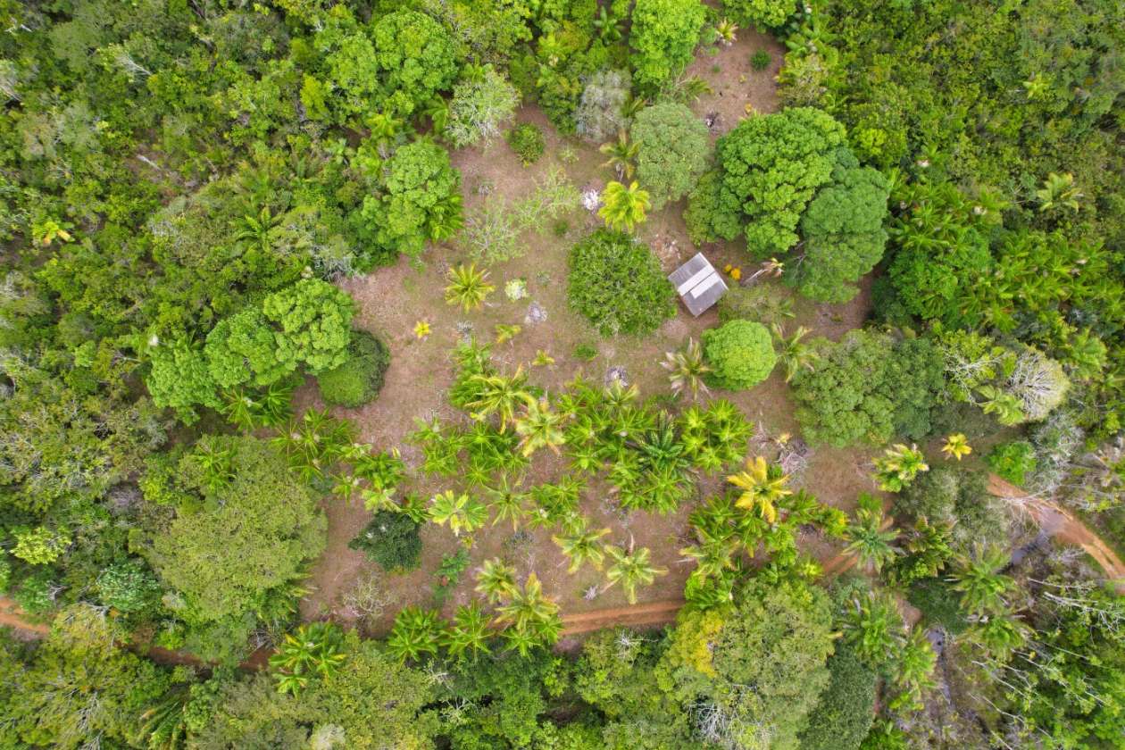 Sítio, 1 quarto, 10 hectares - Foto 8