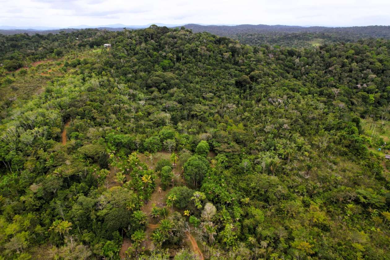 Sítio, 1 quarto, 10 hectares - Foto 19