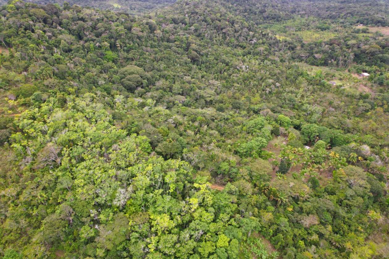 Sítio, 1 quarto, 10 hectares - Foto 14