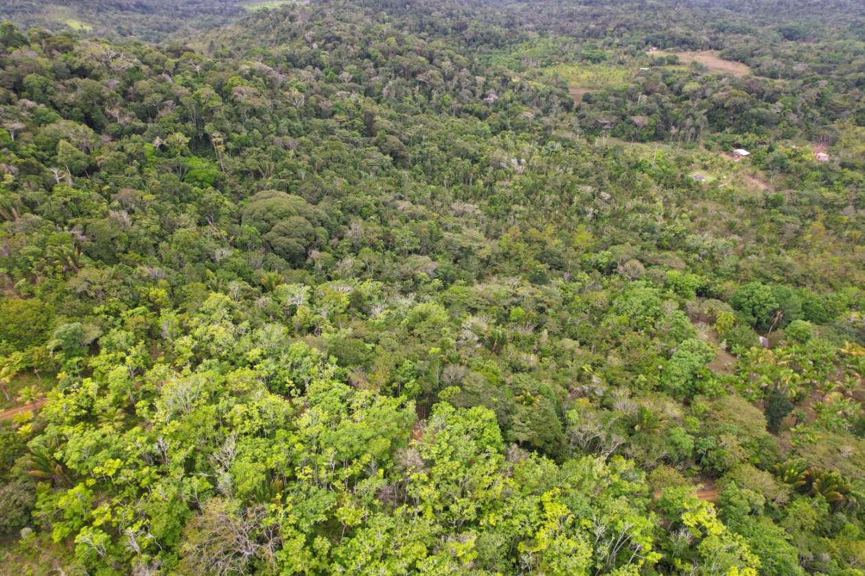 Sítio, 1 quarto, 10 hectares - Foto 15