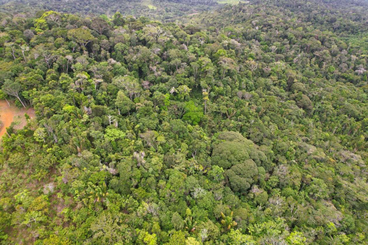 Sítio, 1 quarto, 10 hectares - Foto 20