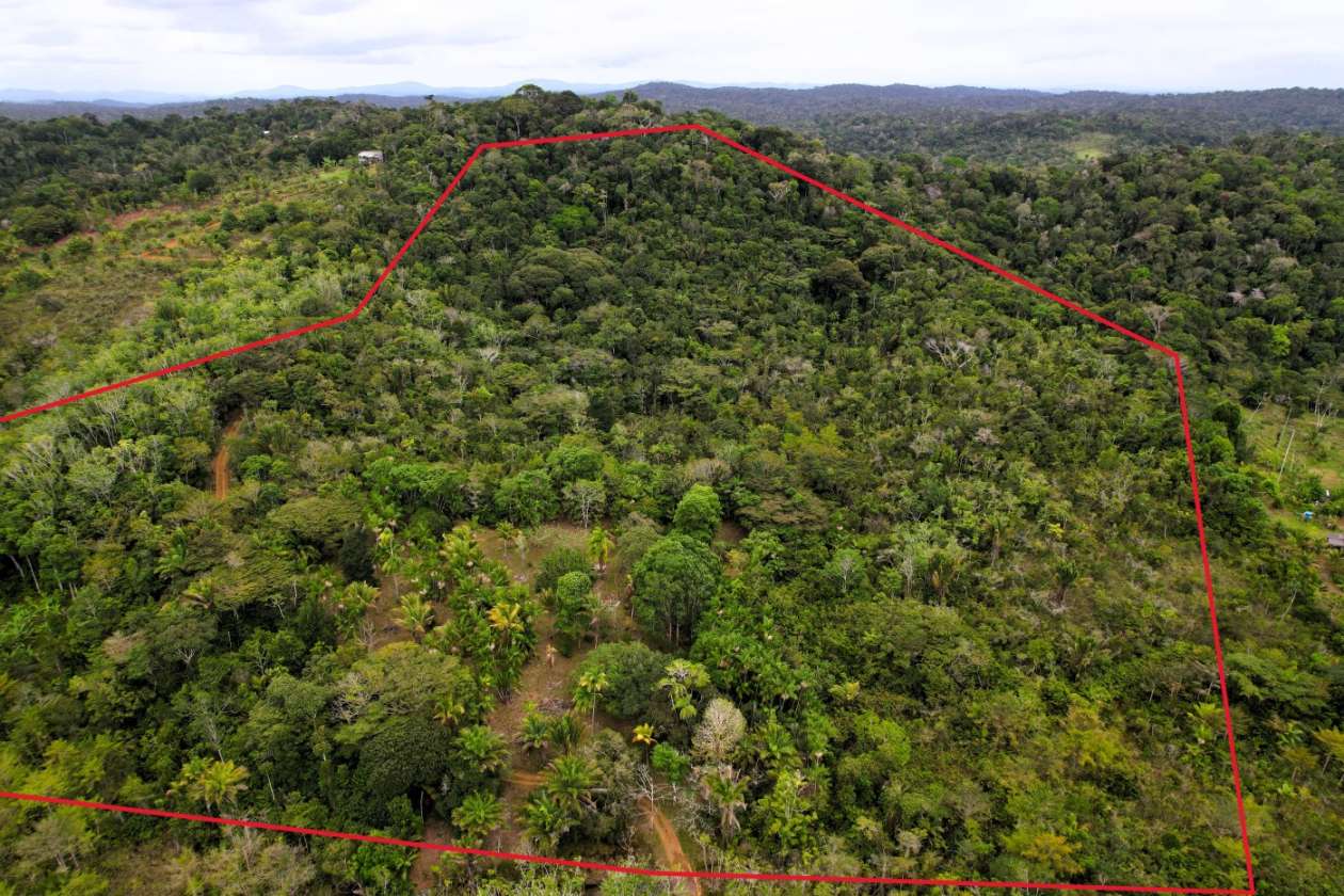 Sítio, 1 quarto, 10 hectares - Foto 1