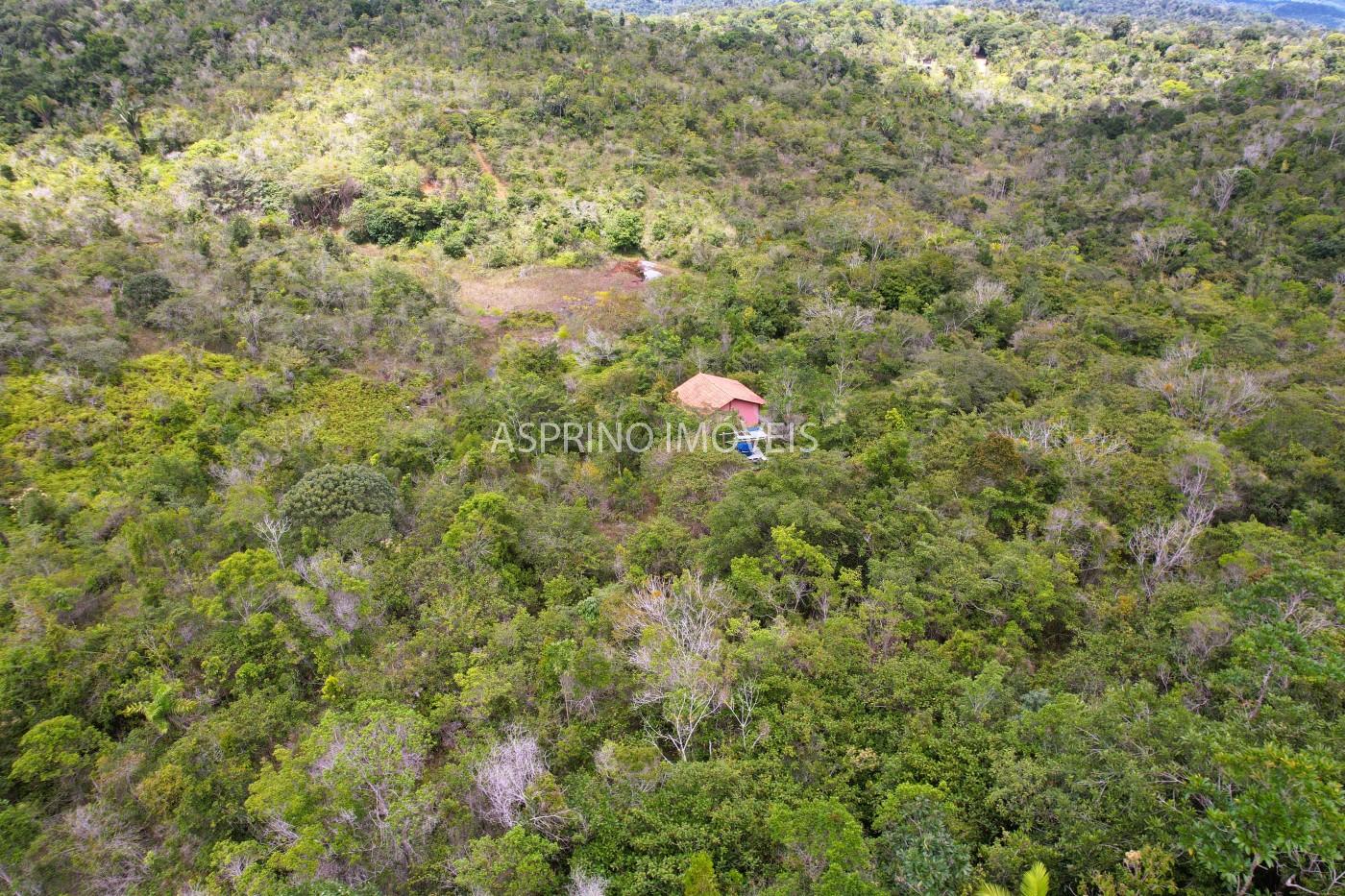 Sítio, 21 hectares - Foto 6